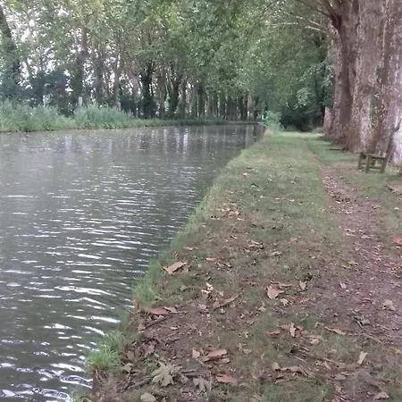شقة Le De La Casa Fourquaise Fourques-sur-Garonne